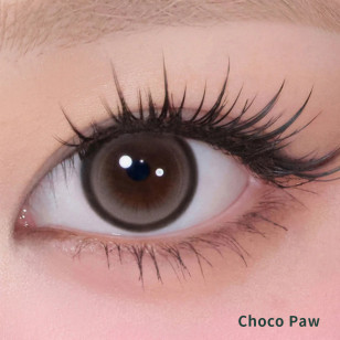 Cat-Titude Kristin 1Day — Choco Paw 日抛 10片裝